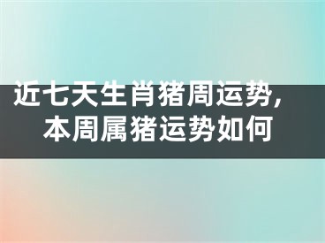 近七天生肖猪周运势,本周属猪运势如何