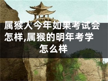 属猴人今年如果考试会怎样,属猴的明年考学怎么样