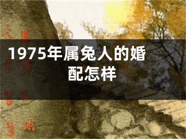 1975年属兔人的婚配怎样