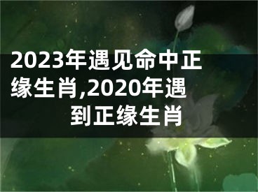 2023年遇见命中正缘生肖,2020年遇到正缘生肖