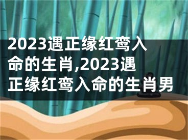 2023遇正缘红鸾入命的生肖,2023遇正缘红鸾入命的生肖男