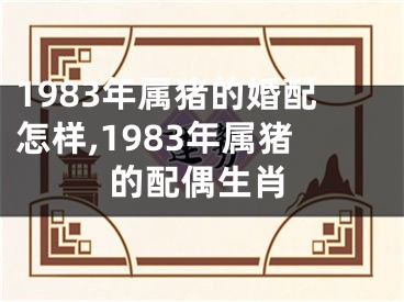 1983年属猪的婚配怎样,1983年属猪的配偶生肖