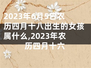 2023年6月5日农历四月十八出生的女孩属什么,2023年农历四月十六