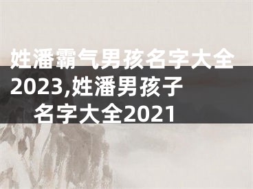 姓潘霸气男孩名字大全2023,姓潘男孩子名字大全2021