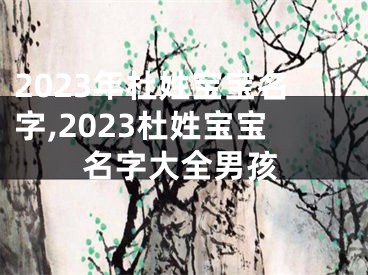 2023年杜姓宝宝名字,2023杜姓宝宝名字大全男孩