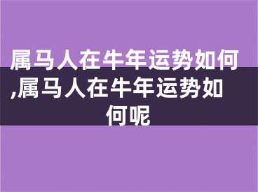 属马人在牛年运势如何,属马人在牛年运势如何呢