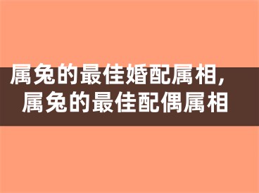 属兔的最佳婚配属相,属兔的最佳配偶属相