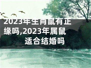 2023年生肖鼠有正缘吗,2023年属鼠适合结婚吗