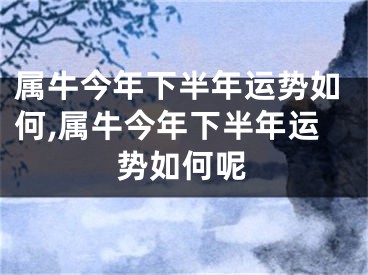 属牛今年下半年运势如何,属牛今年下半年运势如何呢