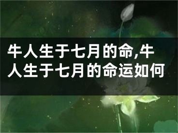 牛人生于七月的命,牛人生于七月的命运如何