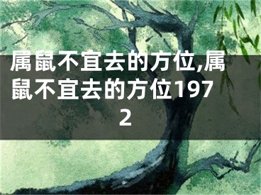 属鼠不宜去的方位,属鼠不宜去的方位1972