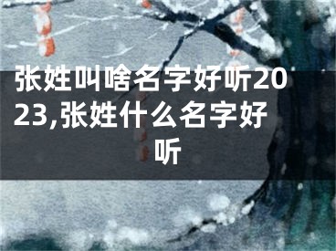 张姓叫啥名字好听2023,张姓什么名字好听