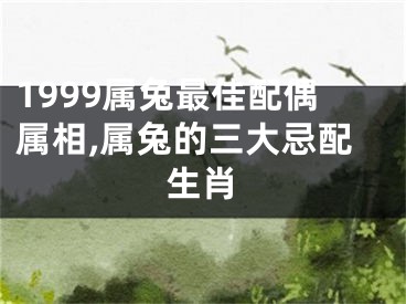 1999属兔最佳配偶属相,属兔的三大忌配生肖