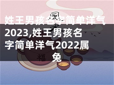 姓王男孩名字简单洋气2023,姓王男孩名字简单洋气2022属兔