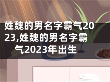 姓魏的男名字霸气2023,姓魏的男名字霸气2023年出生