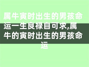 属牛寅时出生的男孩命运一生良禄自可求,属牛的寅时出生的男孩命运