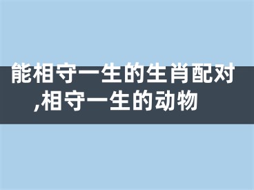 能相守一生的生肖配对,相守一生的动物