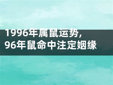 1996年属鼠运势,96年鼠命中注定姻缘