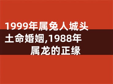 1999年属兔人城头土命婚姻,1988年属龙的正缘