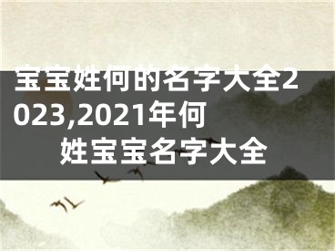 宝宝姓何的名字大全2023,2021年何姓宝宝名字大全