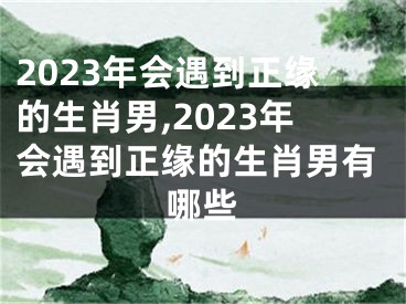 2023年会遇到正缘的生肖男,2023年会遇到正缘的生肖男有哪些