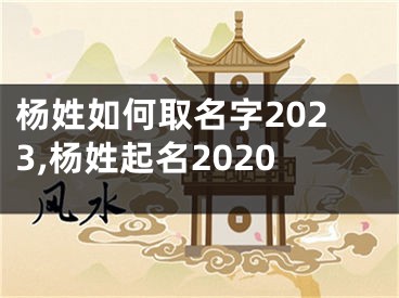 杨姓如何取名字2023,杨姓起名2020