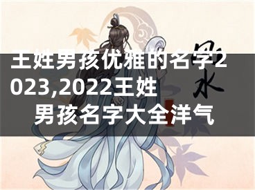 王姓男孩优雅的名字2023,2022王姓男孩名字大全洋气