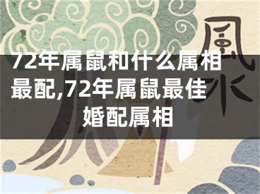 72年属鼠和什么属相最配,72年属鼠最佳婚配属相