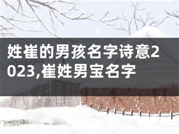 姓崔的男孩名字诗意2023,崔姓男宝名字