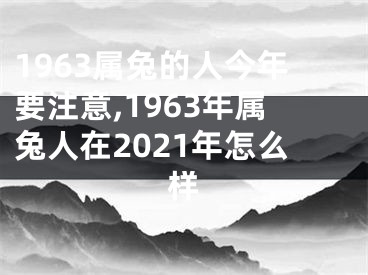 1963属兔的人今年要注意,1963年属兔人在2021年怎么样