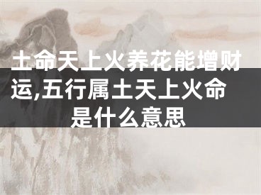 土命天上火养花能增财运,五行属土天上火命是什么意思