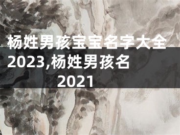 杨姓男孩宝宝名字大全2023,杨姓男孩名2021