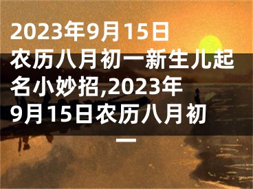 2023年9月15日农历八月初一新生儿起名小妙招,2023年9月15日农历八月初一