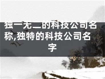 独一无二的科技公司名称,独特的科技公司名字