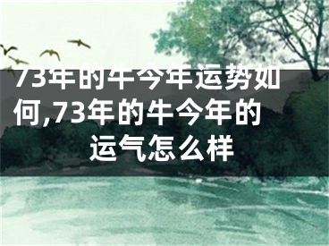 73年的牛今年运势如何,73年的牛今年的运气怎么样