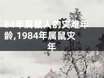 84年属鼠人的灾难年龄,1984年属鼠灾年