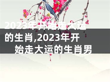 2023年开始走大运的生肖,2023年开始走大运的生肖男