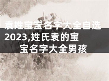 袁姓宝宝名字大全自选2023,姓氏袁的宝宝名字大全男孩