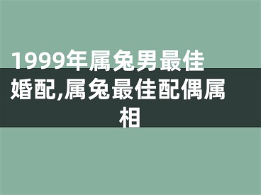 1999年属兔男最佳婚配,属兔最佳配偶属相