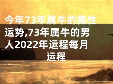 今年73年属牛的男性运势,73年属牛的男人2022年运程每月运程