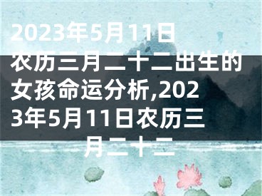 2023年5月11日农历三月二十二出生的女孩命运分析,2023年5月11日农历三月二十二