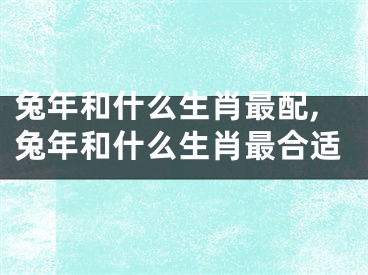 兔年和什么生肖最配,兔年和什么生肖最合适