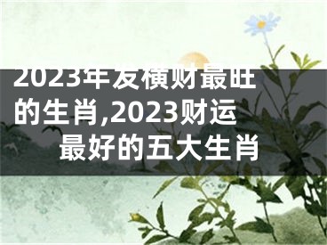 2023年发横财最旺的生肖,2023财运最好的五大生肖