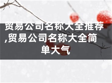 贸易公司名称大全推荐,贸易公司名称大全简单大气