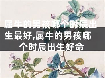 属牛的男孩哪个时辰出生最好,属牛的男孩哪个时辰出生好命