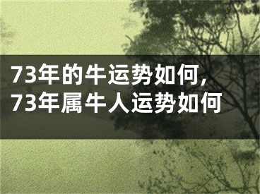 73年的牛运势如何,73年属牛人运势如何