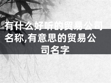 有什么好听的贸易公司名称,有意思的贸易公司名字