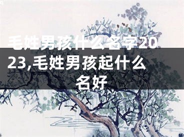 毛姓男孩什么名字2023,毛姓男孩起什么名好