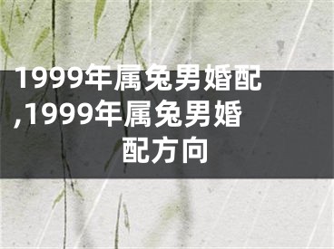 1999年属兔男婚配,1999年属兔男婚配方向