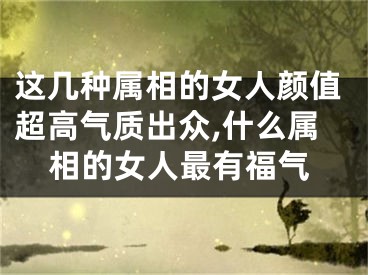 这几种属相的女人颜值超高气质出众,什么属相的女人最有福气